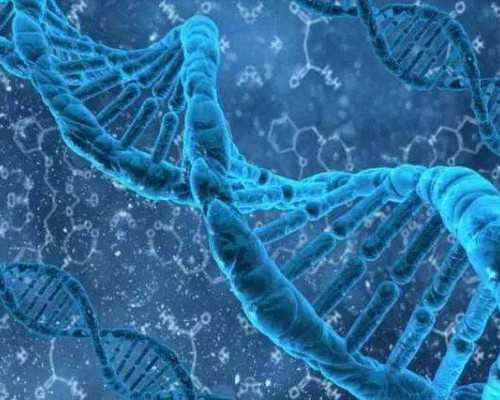 广州供卵包成功,广州试管包成功生男孩的私立医院可信吗?