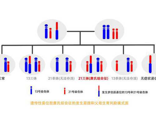 广州最大代生公司,赴香港差染色体验性别费用备孕经验流程-2023生男生女预测表