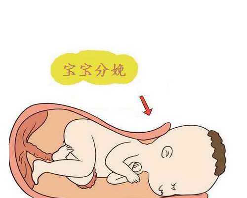 广州中山六院可以供卵,广州卵子库供卵费用清单?-医院供卵快吗