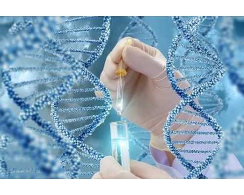 神州中泰助孕中心_好运健康|吉林长春借卵生子试管选性别费用5~12万左右，附