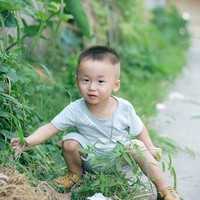 广州哪里可以供卵_广州供卵大龄_4代试管婴儿 与1、2、3试管婴儿有什么区别