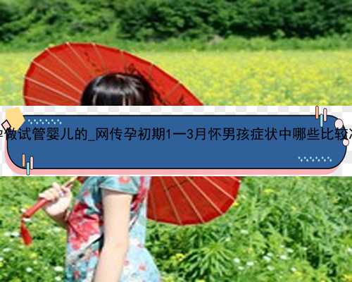 广州找代孕做试管婴儿的_网传孕初期1一3月怀男孩症状中哪些比较准？_23824