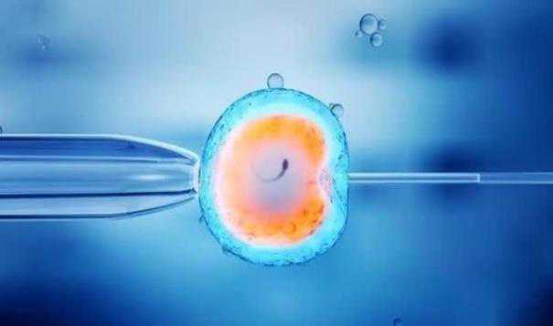 金边第一试管婴儿诊所_黑龙江天元妇产医院生殖科可以做供卵（借卵）试管婴