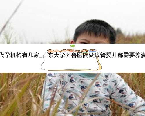 广州代孕机构有几家_山东大学齐鲁医院做试管婴儿都需要养囊吗？
