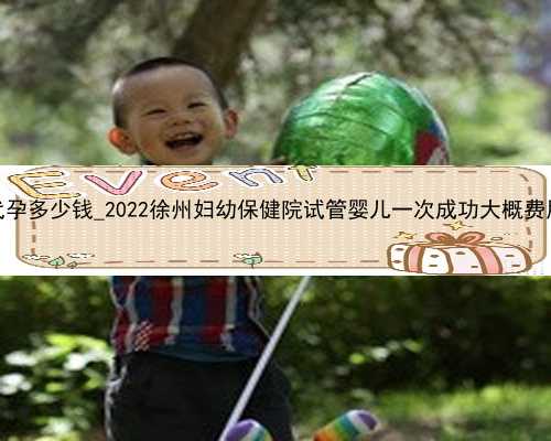 广州知名代孕多少钱_2022徐州妇幼保健院试管婴儿一次成功大概费用是多少？