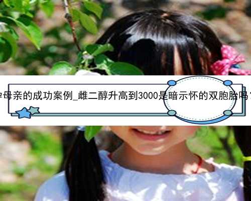 广州助孕母亲的成功案例_雌二醇升高到3000是暗示怀的双胞胎吗？_908g8