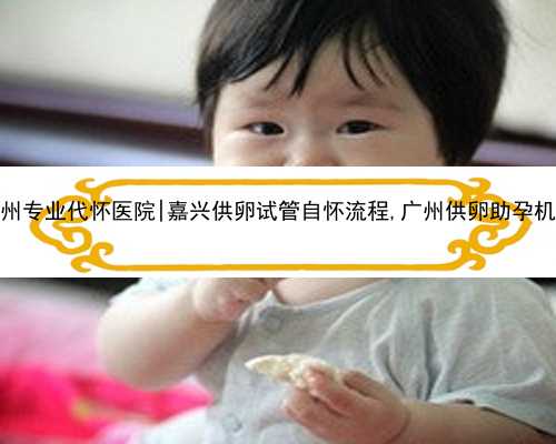 广州专业代怀医院|嘉兴供卵试管自怀流程,广州供卵助孕机构