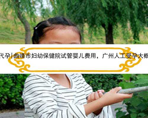 广州包成功代孕|曲靖市妇幼保健院试管婴儿费用，广州人工受孕大概多少费用